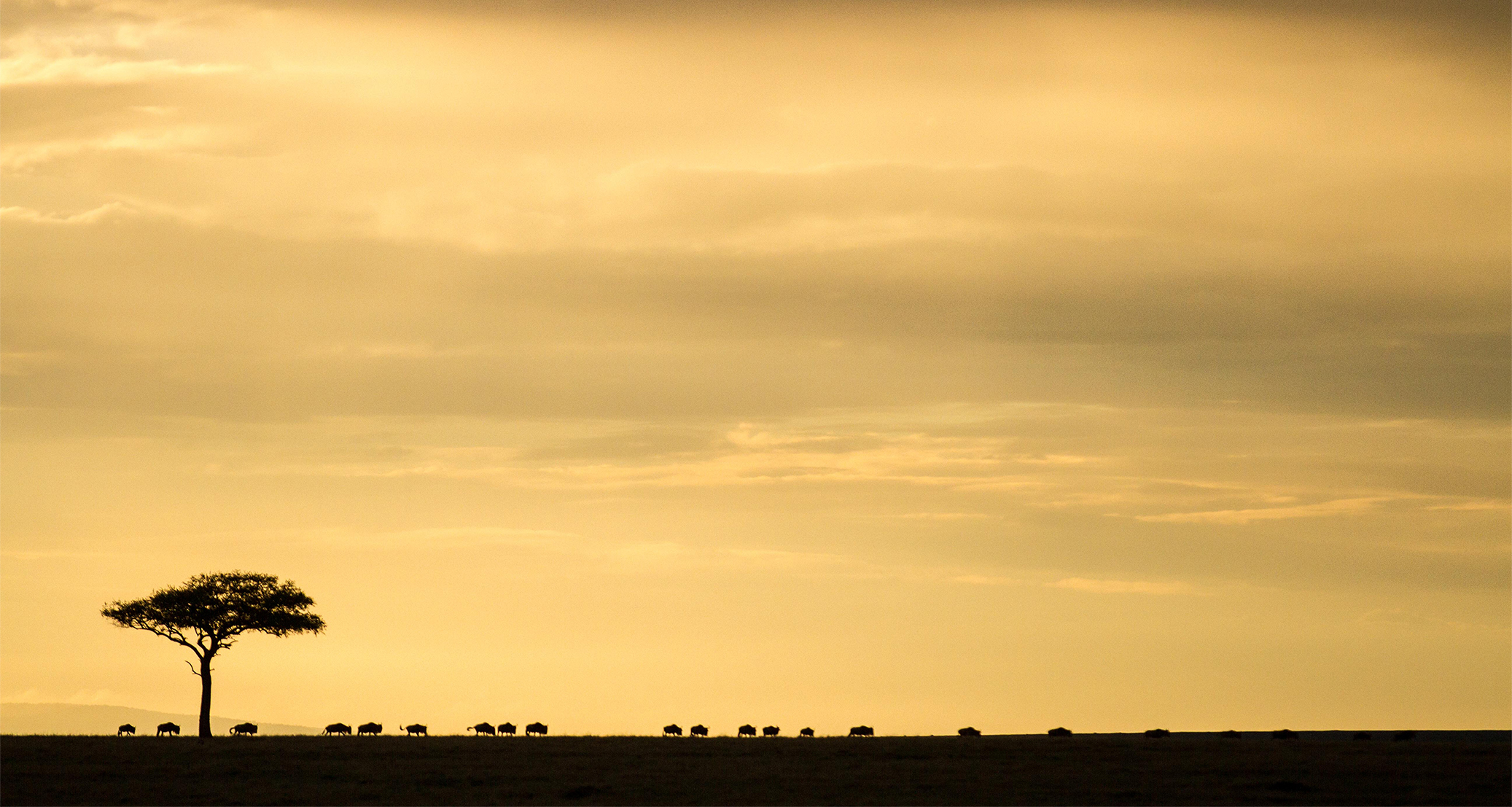 Mara, Maasai & Culture