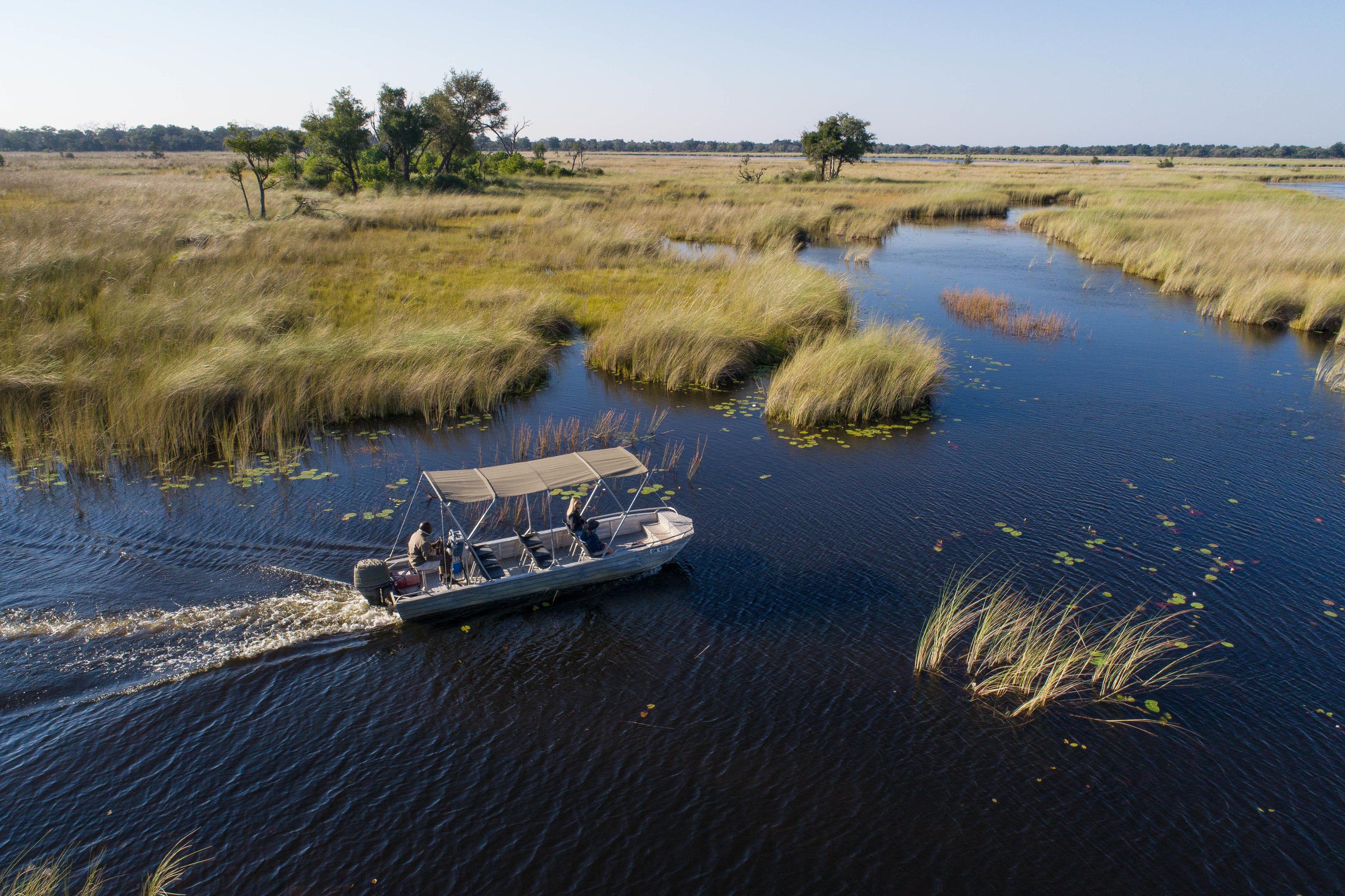 Moremi, Moremi Game Reserve, Botswana