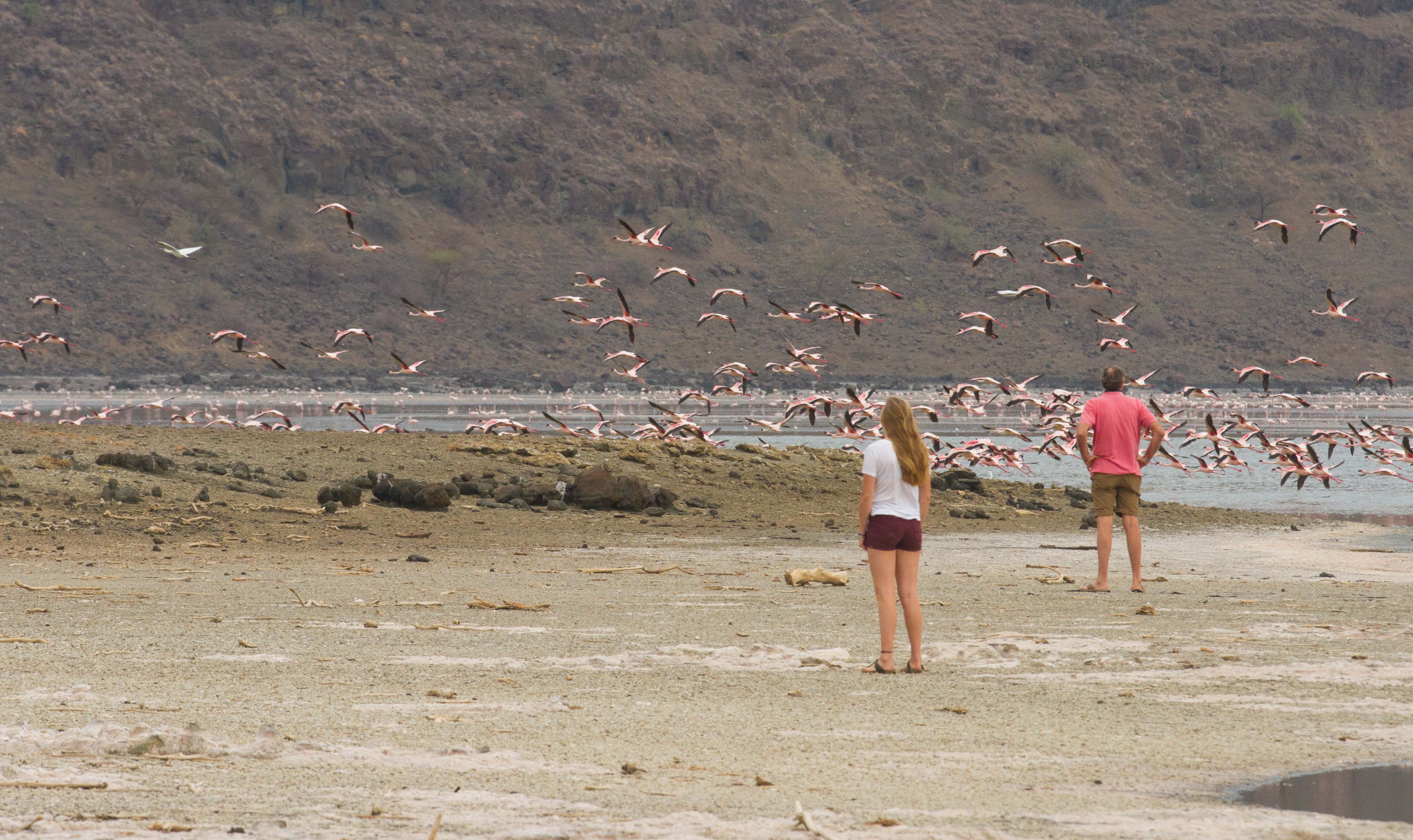 Shompole Walking with Flamingoes
