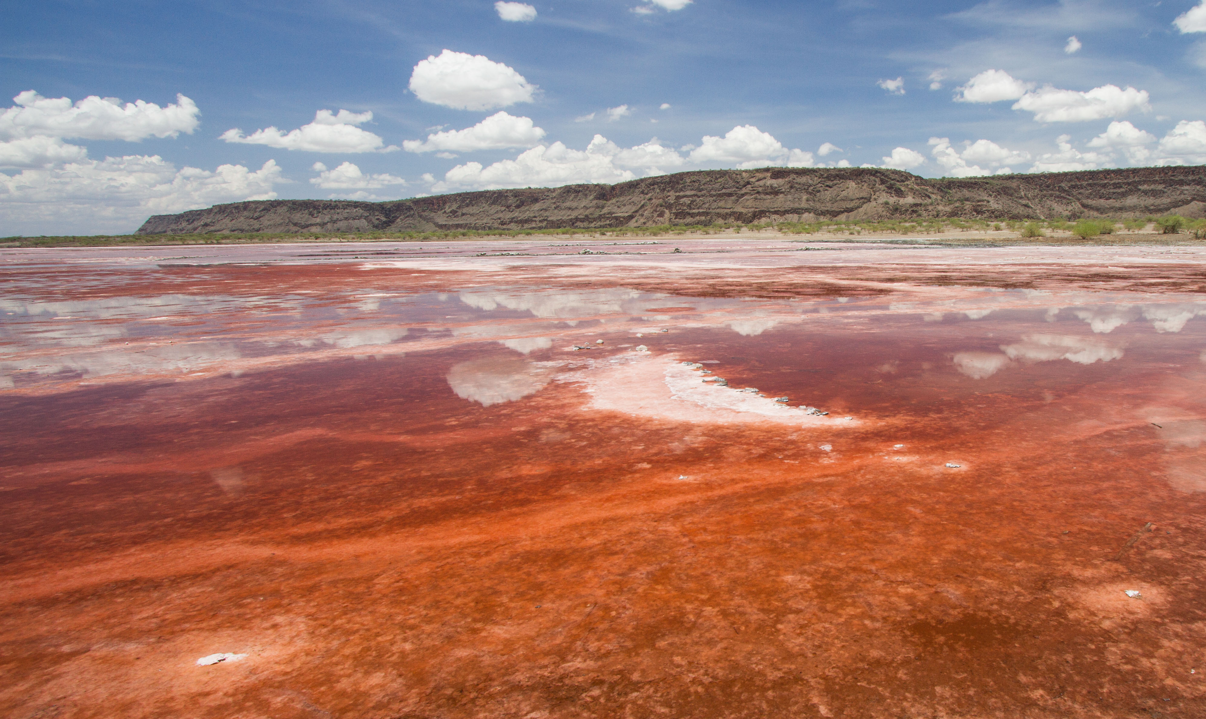 Shompole pink lake