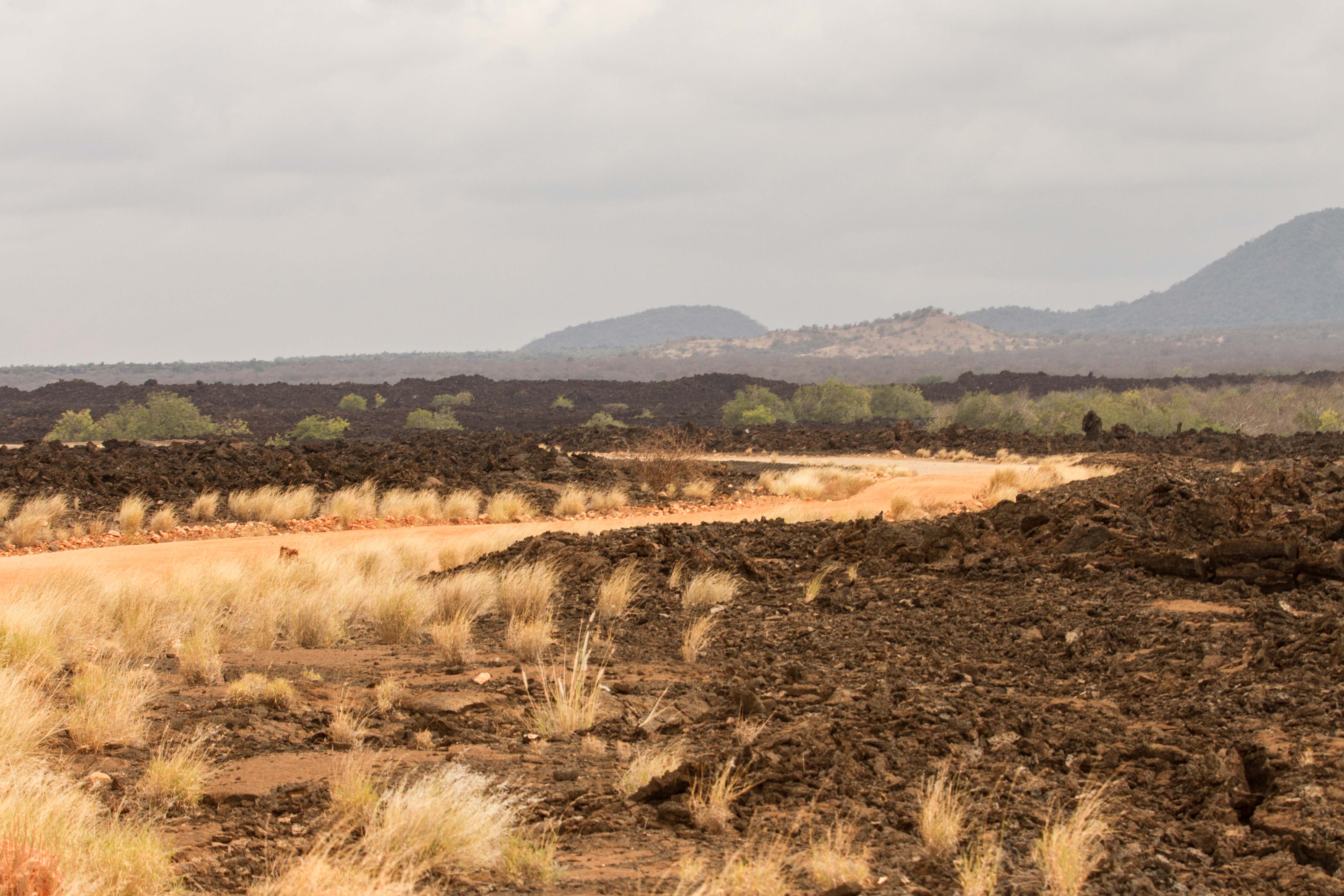 The Tsavo Experience