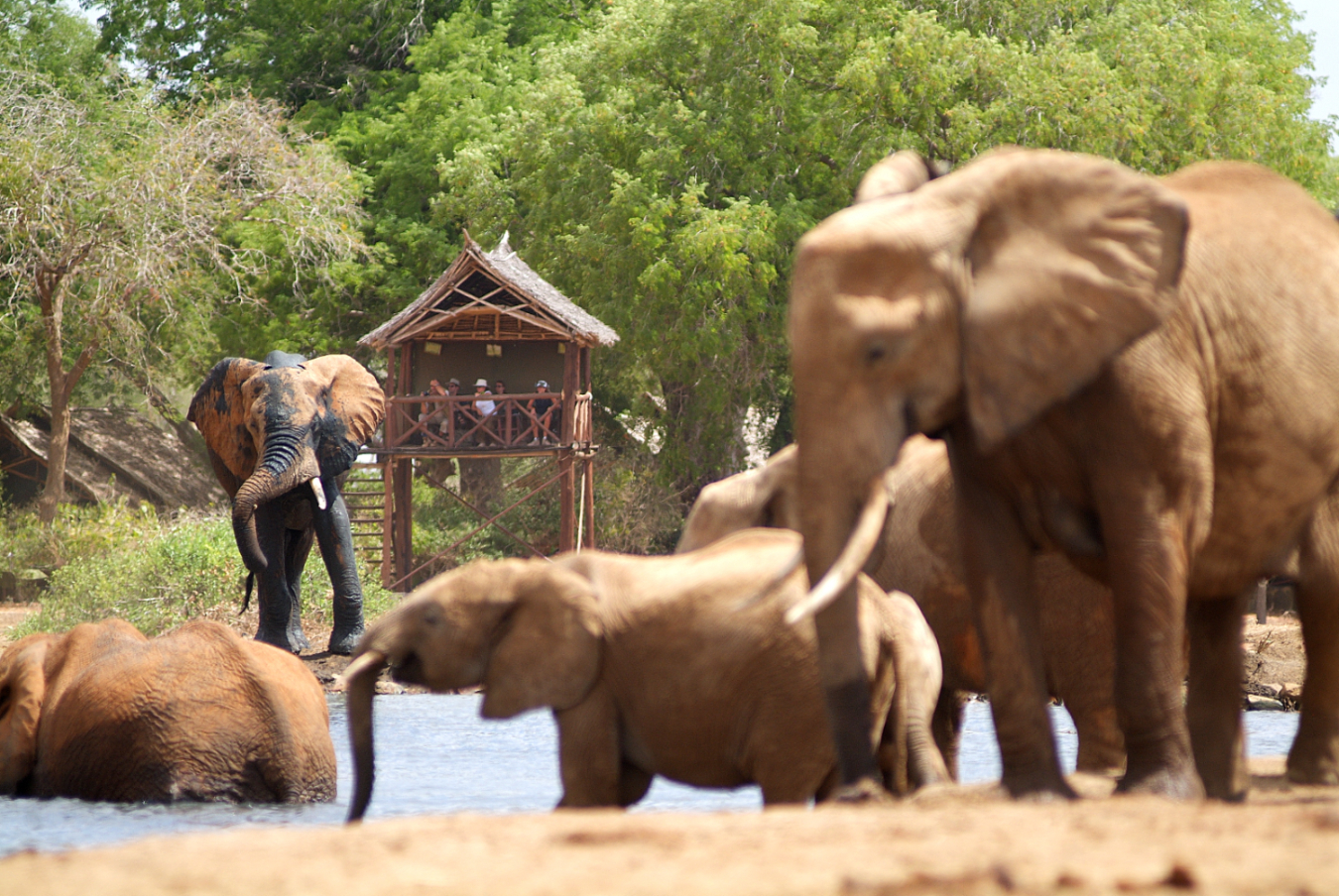 Satao Camp